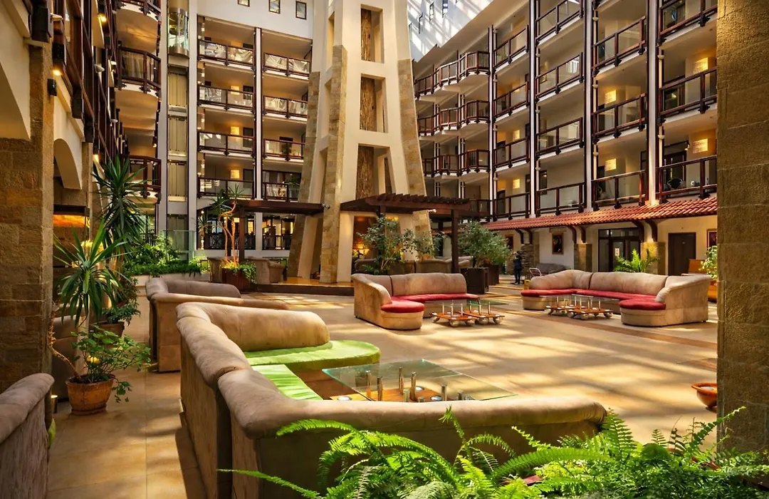 Mpm Hotel Guinness-1