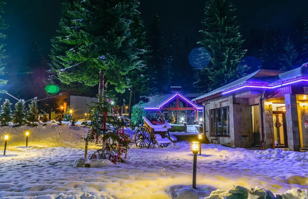 Romantica Forest Guest House-1