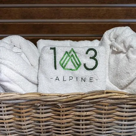 103 Alpine Hotel-2