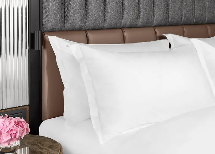 Hotels nahe Borissowa gradina