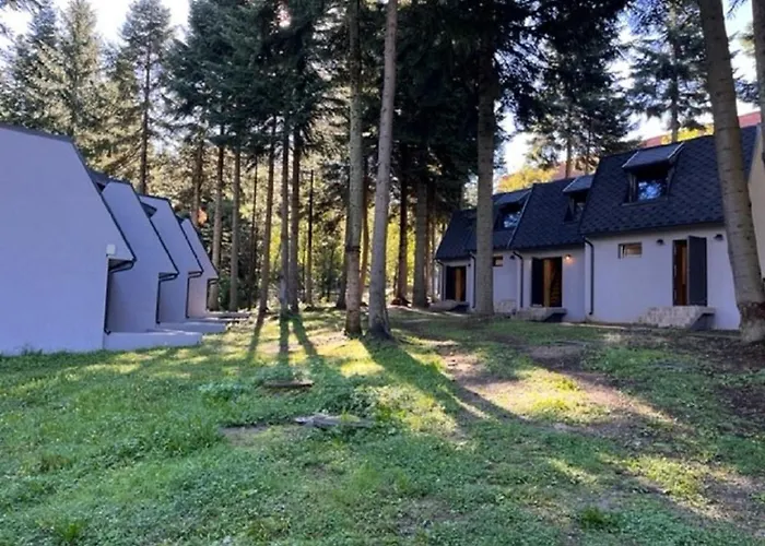 Moura & Villas Borovets Mountain Relax Spa Hotel