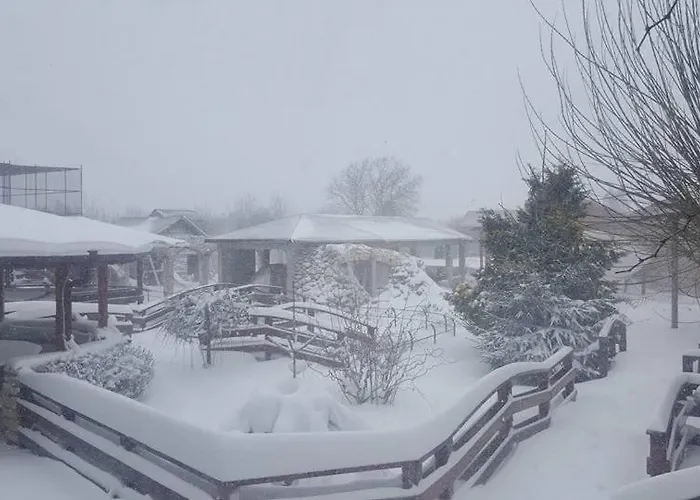 Guest Rooms Wild Duck Ezerets, Bulgaria