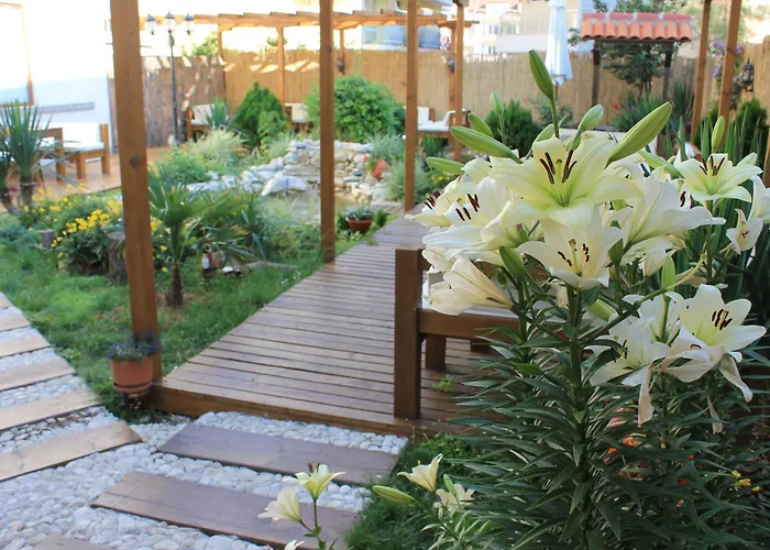 Hotel Yanis