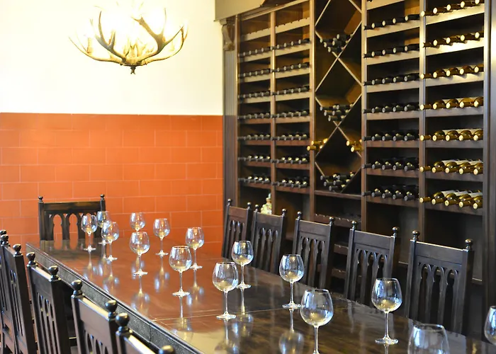 Chateau-Hotel Trendafiloff -B&B Chirpan, Bulgaria