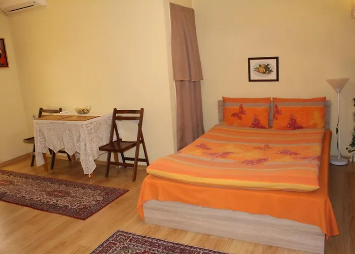 Studio Pleven Center
